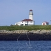 lighthouse_island_seal_machias_v_2326_can1033.jpg